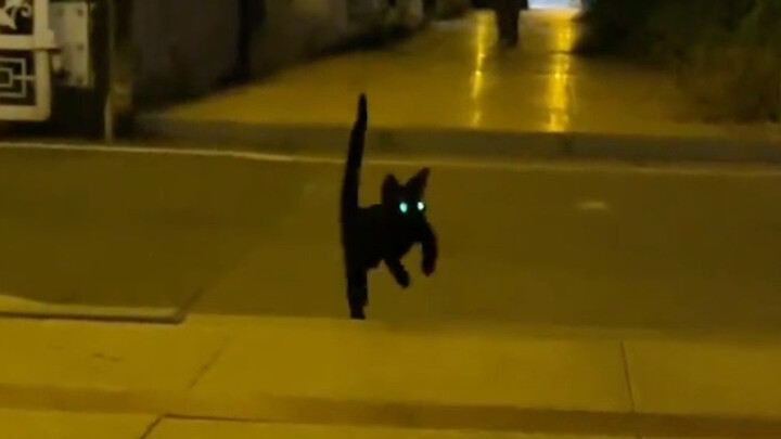 It came zooming over with its hazard lights on—it’s so darn cute, I’m melting!