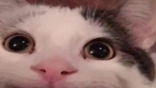 When you have an exam tomorrow...