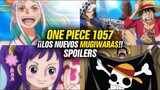 *SPOILERS* One Piece 1057: ¿Nuevos MUGIWARAS?