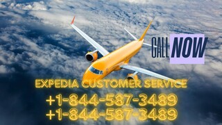 Quick List of Official Expedi𝓪™️REservation™️ Contact Numbers in the usa : the StepbyStep Detailed