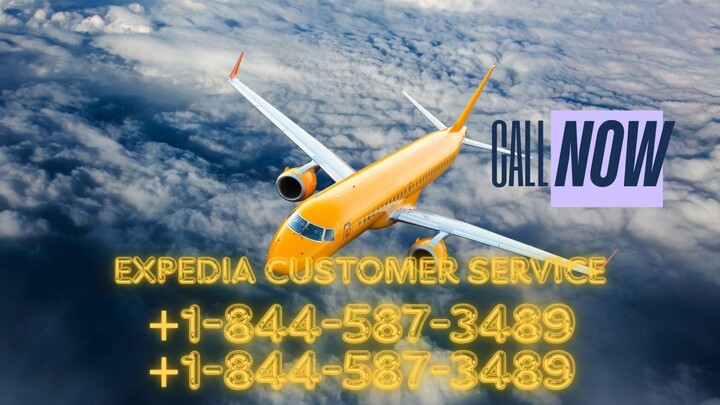 Quick List of Official Expedi𝓪™️REservation™️ Contact Numbers in the usa : the StepbyStep Detailed