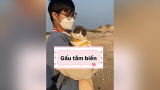 Đừng ai nói gì đại kaaaa hết. Đại kaaa không có sợ gì hết cat mèo voiceeffects fyp dcgr chiecmeotengau Hello2022 DienMao2022 TetHungKhoi