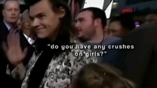 no, never - Harry Styles
