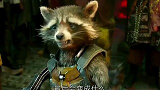 浣熊：以前我认为我最惨，直到我遇到了雷神