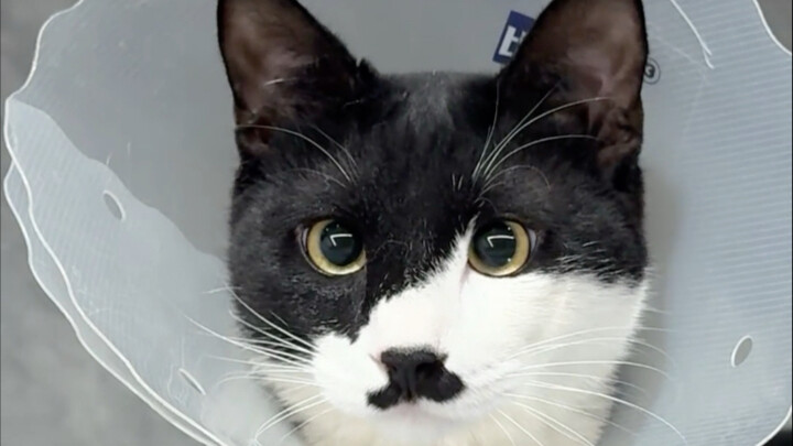 ركوب الدراجة النارية بسرعة 80 ميلاً – انطلق!