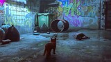 STRAY Gameplay Demo (Cat Game 2022) 4K
