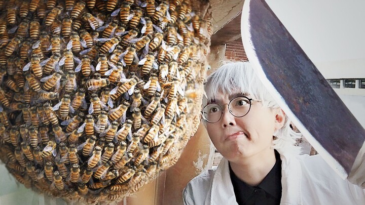 Sẽ ra sao nếu dùng dao chém vào tổ ong? Những người mắc chứng sợ lỗ hãy cân nhắc trước khi xem!