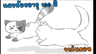 แมวน้อยอายุ 100 ปี มังงะตอนเดียวจบ RudeBook [ FanDub ]
