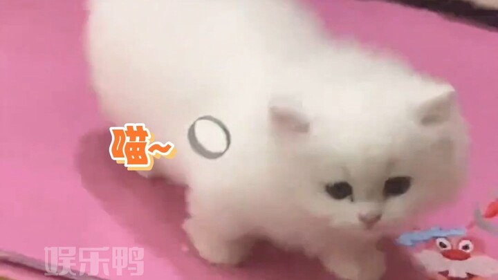 ดัดแปลงสตรอว์เบอร์รีเค้กชิ้นเล็กให้เป็นรถแทรกเตอร์สุดเท่!