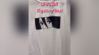 Should I record the $50 or $150 one next? aot mysterybox fypシ snk