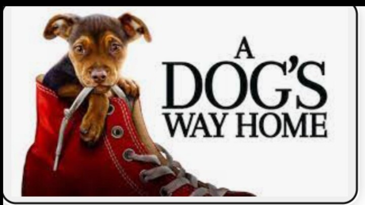 A Dog Way Home Tagalog Dub