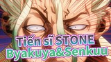 Tiến sĩ STONE|[SAD AMV]Thông qua Byakuya, ngưỡng mộ Senkuu