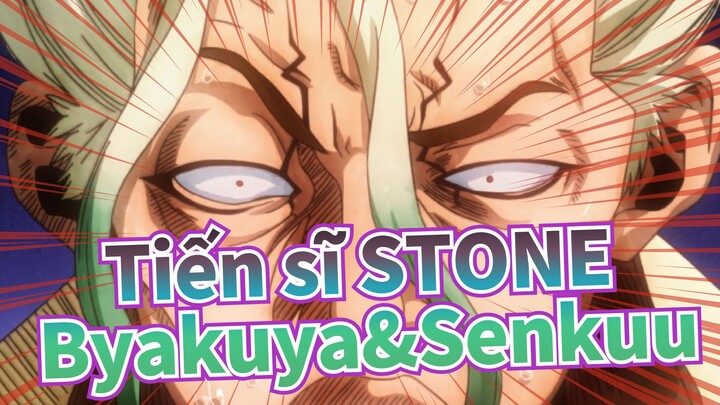 Tiến sĩ STONE|[SAD AMV]Thông qua Byakuya, ngưỡng mộ Senkuu