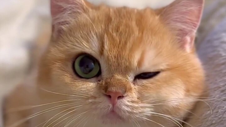 wink