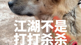 小黄竟然活到了第八集！