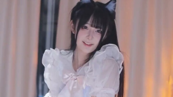 [Caviar] "Feline Grace" Daily Wear Set [Live Stream Cut]