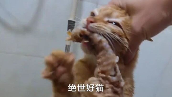 Hakimi tặng bạn chiếc áo đỏ đầu năm!