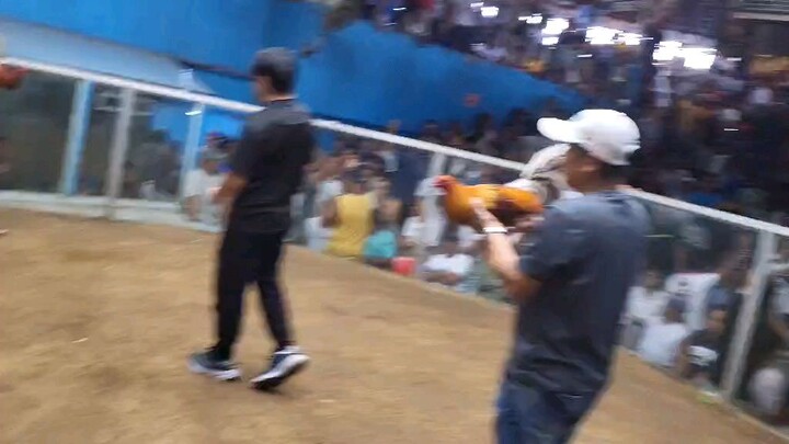 1st fight ko sa 3hits kanan ang tari win! walang sugat.