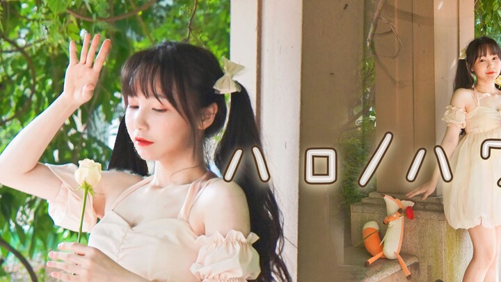 [hb2 snail] Bare feet and roses. If I could, I would like to say to you... Hello/How are you ❤️Heali