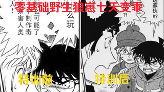 野生狼崽特训前VS野生狼崽特训后