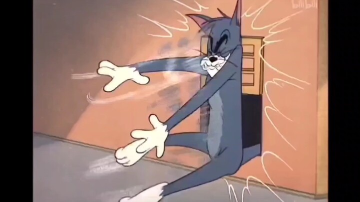 إكس تيرفوجن.كات