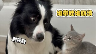 谁带娃谁烦的具像化