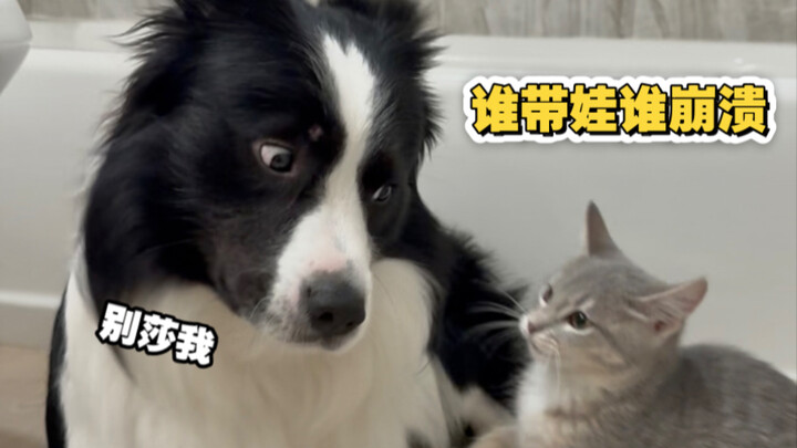 The embodiment of frustration for whoever's taking care of the kids