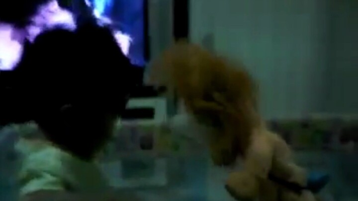รีวิวของเล่น ตุ๊กตาสิงโต ที่บ้าน | Play TV