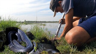 7 Ân Đào Hang Rắn Gặp 2 vợ chồng đen thui