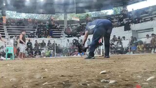 Raptor sweater in action win