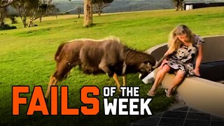 Back To Nature | Fails of the Week (February 2021)