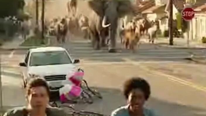 Los Angeles Zoo Stampede [SORA]