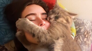 Watch This Cat And Their Human Become Best Friends, The Cat Soulmate!