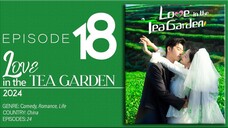 🇨🇳EP18 Love In The Tea Garden (2024)