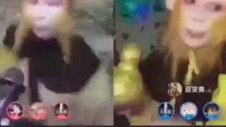 The Real and Fake Monkey King