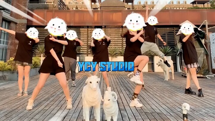 Để cứu công ty, studio của Dương Siêu Việt quyết định ra mắt với tư cách idol! Cuộc thi nhảy lại của