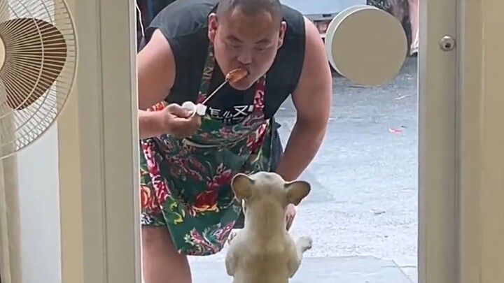 Anjing kecil: Aku benar-benar pengin lapor polisi!