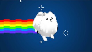 Nyan Gabe