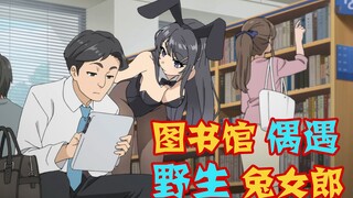 只有我能看到的野生兔女郎？少女变成隐形人，在图书馆穿兔女郎装