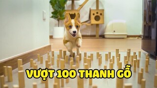 THỬ THÁCH VƯỢT 100 CHƯỚNG NGẠI VẬT