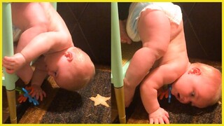 Crawling Time! Cutes Babies Crawling Fails Compilation || Funny Moment