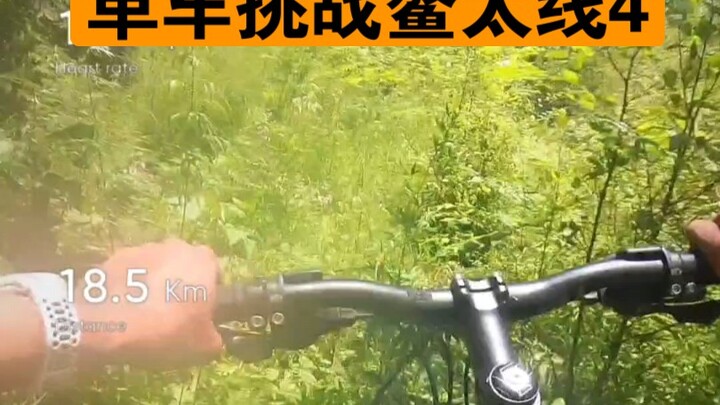 ท้าทายเส้นทางอาวไถด้วยจักรยานครั้งที่ 4: เส้นทางอาวไถ 2,800 – การถอนตัวลงจากภูเขา หมีดำ หมูป่า ค้างค