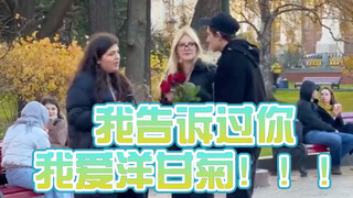 我告诉过你我爱洋甘菊！！！
