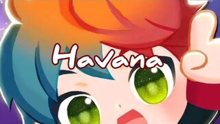 what about my skills? | (Havana) Rythm Star