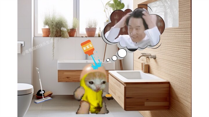 Con đường cứu rỗi của chú mèo đầu trọc hình quả chuối