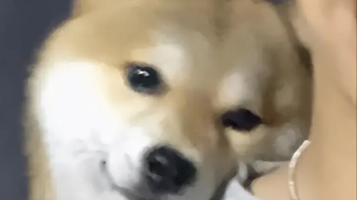 “รักแท้ไม่มีวันพ่ายแพ้”