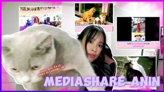 Reaksi Anin Ketika Kucingnya Dispam Mediashare Kucing Ngamuk!! Rawr Anin pas jadi gangster Di RP
