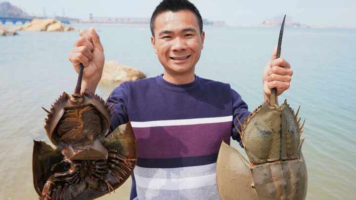 Caught Two Huge Beetles in the Clam Fields