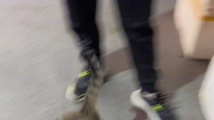 This is the cat raised by the most responsible business owner here. The boss lady said that every ti