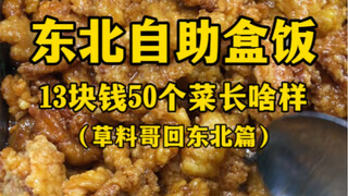 What does a 13 RMB self-service lunch box in Northeast China with 50 dishes look like? (Brother Caol